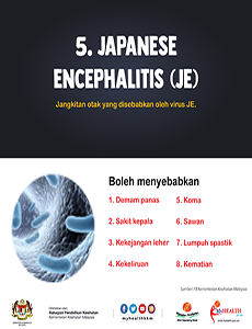 Japanese Encephalitis (JE) - infografik 5